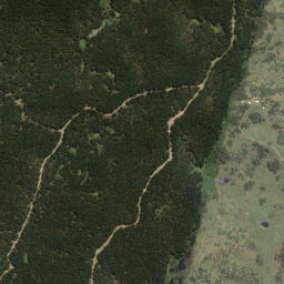Satellite imagery of Whangamoa Point, NZ