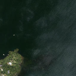 Satellite imagery of Potangotango Point, NZ