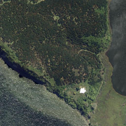 Satellite imagery of Puketapu Point, NZ