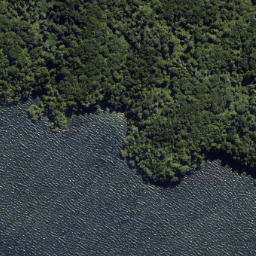 Satellite imagery of Te Mokoroa Point, NZ