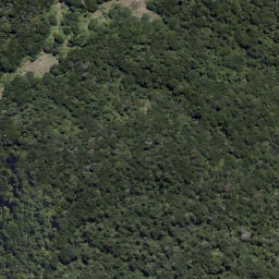 Satellite imagery of Te Papatu Point, NZ