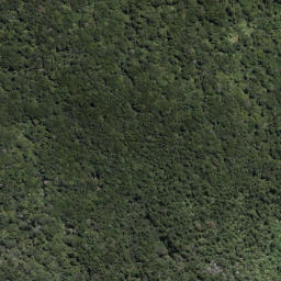 Satellite imagery of Te Papatu Point, NZ