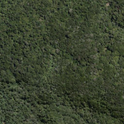 Satellite imagery of Te Papatu Point, NZ