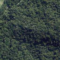 Satellite imagery of Otumarokura Point, NZ