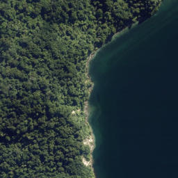 Satellite imagery of Otumarokura Point, NZ