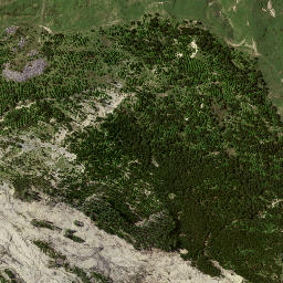 Satellite imagery of 8023, NZ