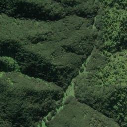 Satellite imagery of Whakarurunga, NZ
