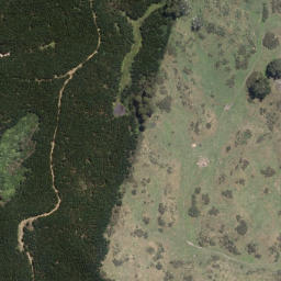 Satellite imagery of Whangamoa Point, NZ