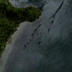 Satellite imagery of Kotoriroa Point, NZ