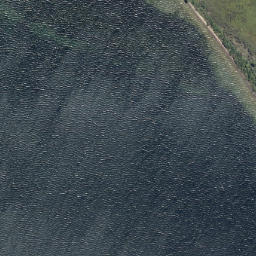 Satellite imagery of Puketapu Point, NZ