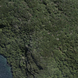 Satellite imagery of Te Papatu Point, NZ