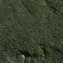 Satellite imagery of Te Papatu Point, NZ