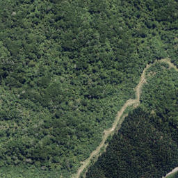 Satellite imagery of Matutu Point, NZ