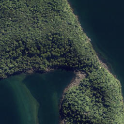 Satellite imagery of Otumarokura Point, NZ