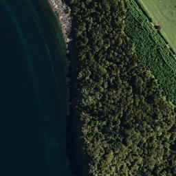 Satellite imagery of Patarata Point, NZ