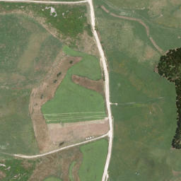 Satellite imagery of Motutawa Point, NZ