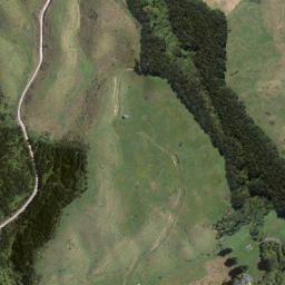 Satellite imagery of Motutawa Point, NZ