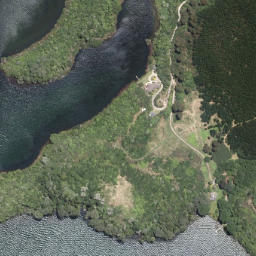 Satellite imagery of Tahunaroa Point, NZ