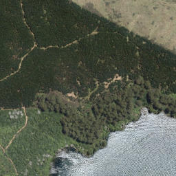 Satellite imagery of Tahunaroa Point, NZ