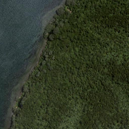 Satellite imagery of Kotoriroa Point, NZ