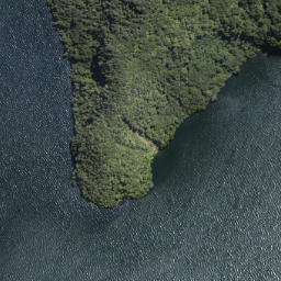 Satellite imagery of Te Papatu Point, NZ