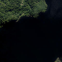 Satellite imagery of Te Ahau Point, NZ