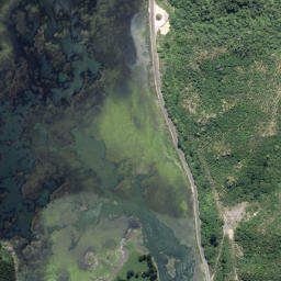 Satellite imagery of Matutu Point, NZ