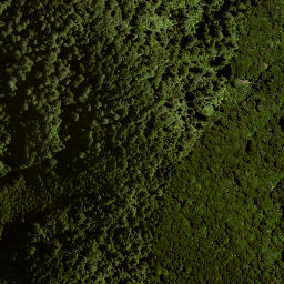 Satellite imagery of B (Hikurangi SD), NZ