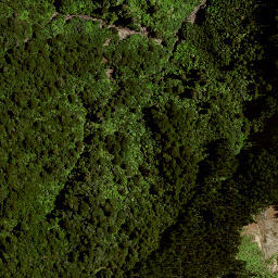 Satellite imagery of B (Hikurangi SD), NZ