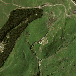 Satellite imagery of 8023, NZ