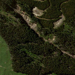 Satellite imagery of 8023, NZ