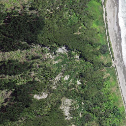 Satellite imagery of Pokurakura Point, NZ
