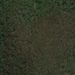 Satellite imagery of Mount Tanjil, AU