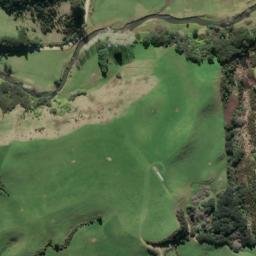Satellite imagery of B NO 2, NZ