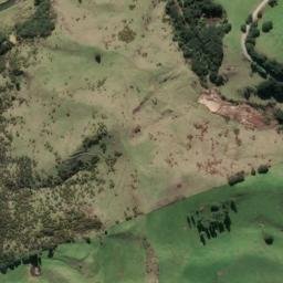 Satellite imagery of B NO 2, NZ