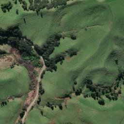 Satellite imagery of B NO 2, NZ