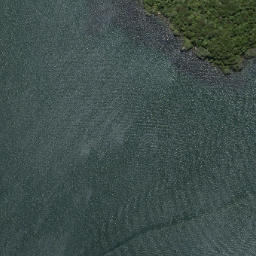 Satellite imagery of Tumoana Point, NZ