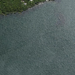 Satellite imagery of Tumoana Point, NZ