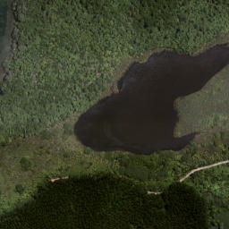 Satellite imagery of Tapaniau Point, NZ
