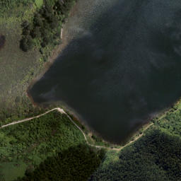 Satellite imagery of Tapaniau Point, NZ