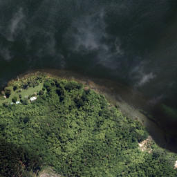 Satellite imagery of Tapaniau Point, NZ