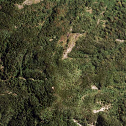 Satellite imagery of 1316 MAUNGAWARU, NZ