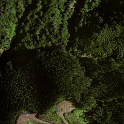 Satellite imagery of B (Hikurangi SD), NZ