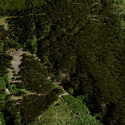 Satellite imagery of B (Hikurangi SD), NZ