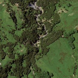 Satellite imagery of 8033, NZ