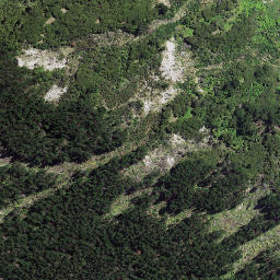 Satellite imagery of Pokurakura Point, NZ