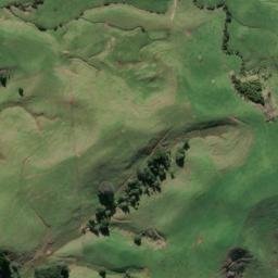 Satellite imagery of B NO 2, NZ