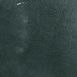 Satellite imagery of Tumoana Point, NZ