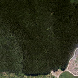 Satellite imagery of Tapaniau Point, NZ