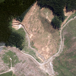 Satellite imagery of Tapaniau Point, NZ
